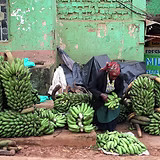 Selling bananas in Kampala, Uganda, 2013.jpeg